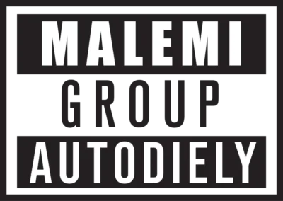 Malemi log